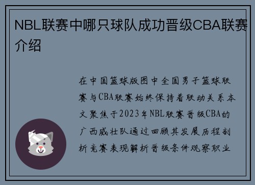 NBL联赛中哪只球队成功晋级CBA联赛介绍