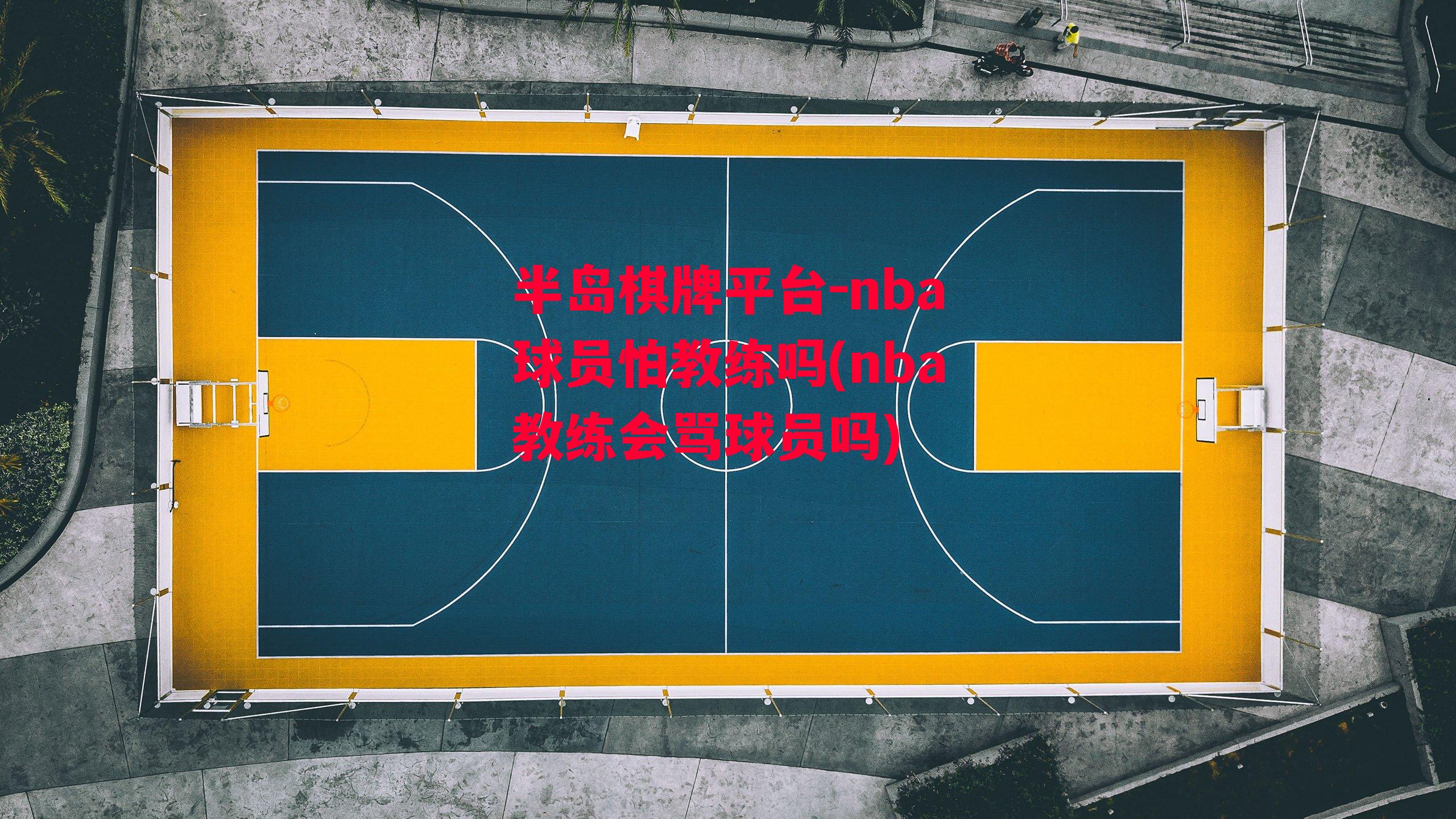 nba球员怕教练吗(nba教练会骂球员吗)